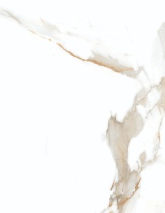 CARRARA GOLD| ESPACIO EN RECUBRIMIENTOS 2