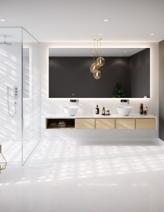 SANITARIO DUO CURVO | ESPACIO EN RECUBRIMIENTOS
